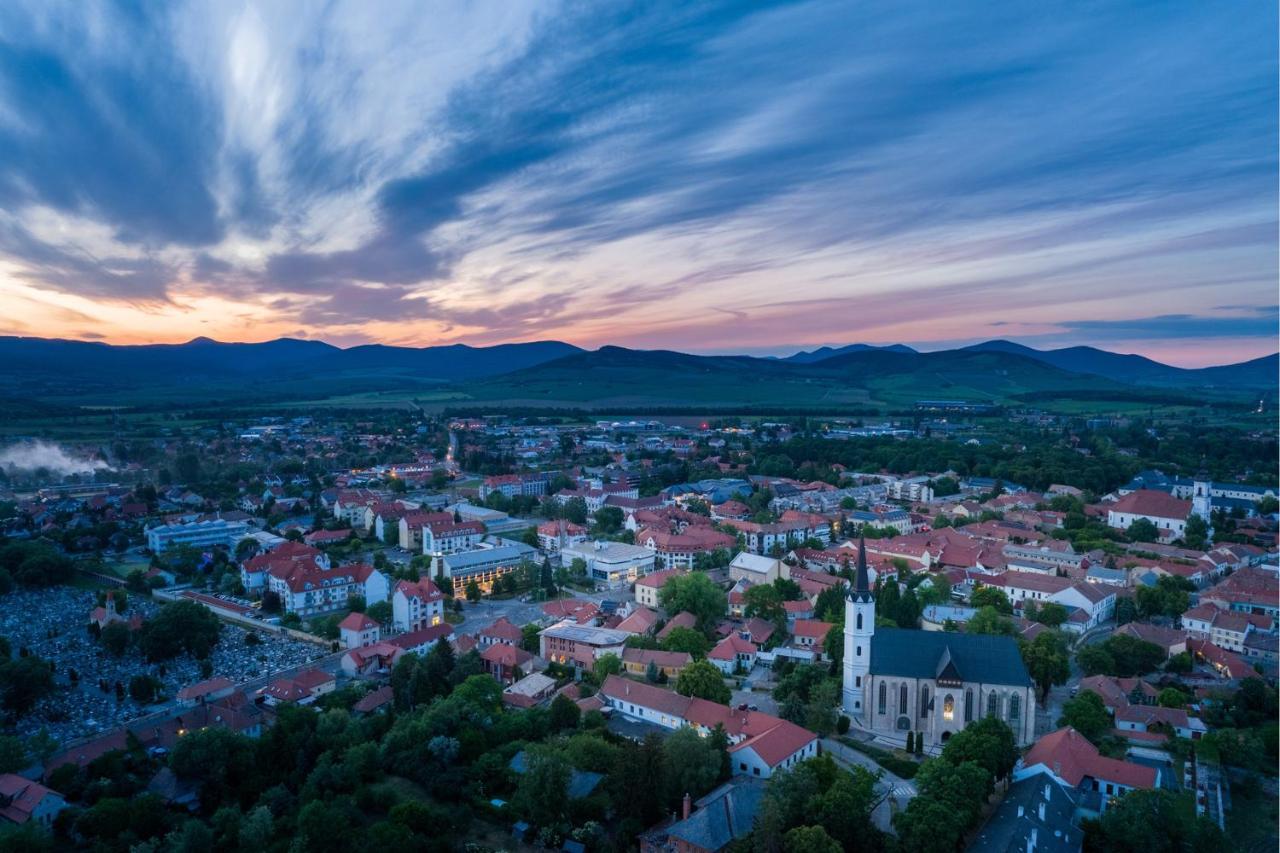 Hotel Bodrog Wellness & Elix Spa Sárospatak Zewnętrze zdjęcie