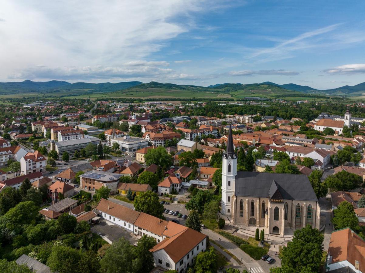 Hotel Bodrog Wellness & Elix Spa Sárospatak Zewnętrze zdjęcie