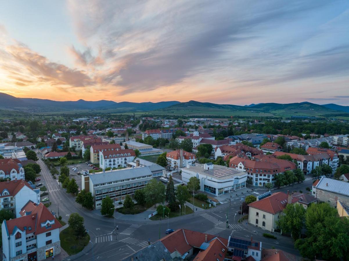 Hotel Bodrog Wellness & Elix Spa Sárospatak Zewnętrze zdjęcie