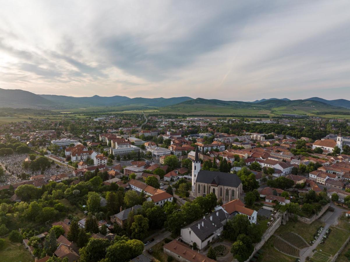 Hotel Bodrog Wellness & Elix Spa Sárospatak Zewnętrze zdjęcie