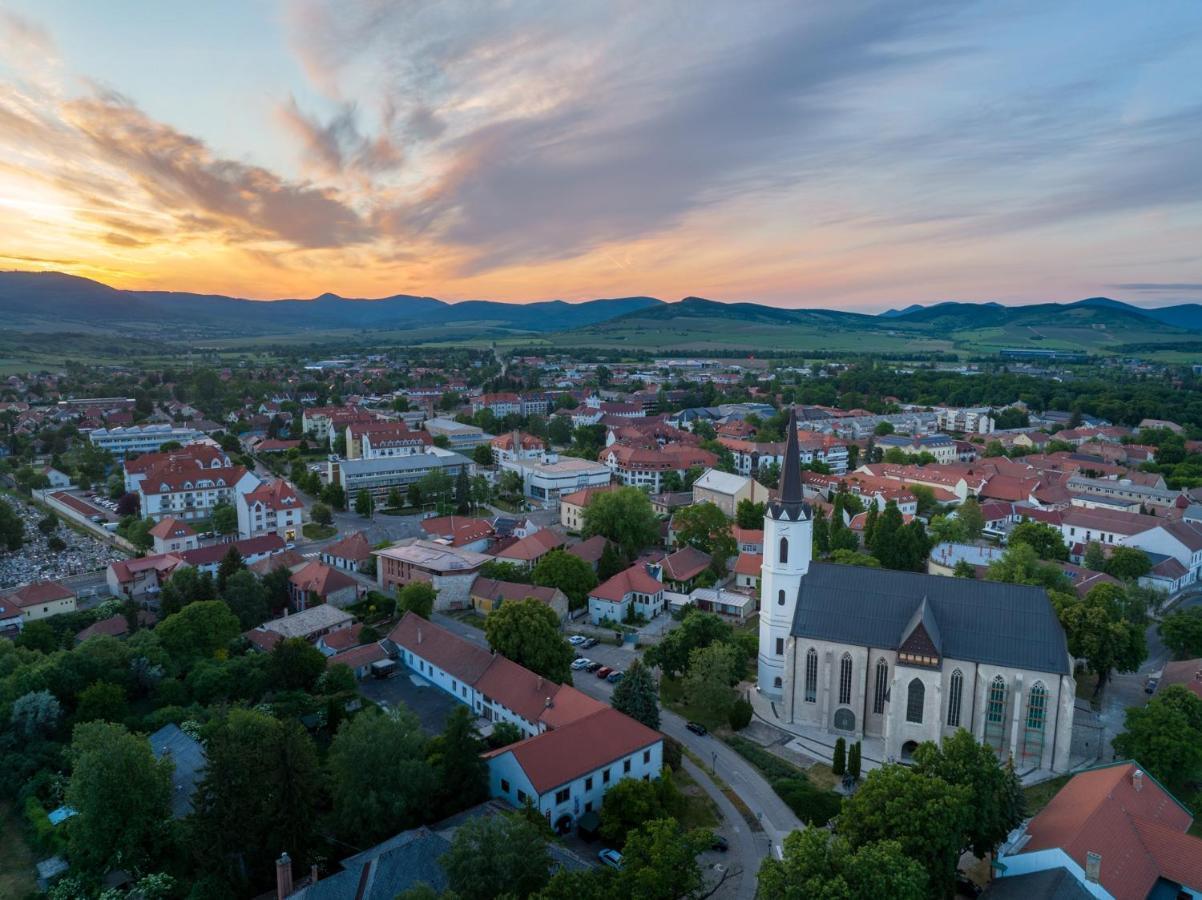 Hotel Bodrog Wellness & Elix Spa Sárospatak Zewnętrze zdjęcie