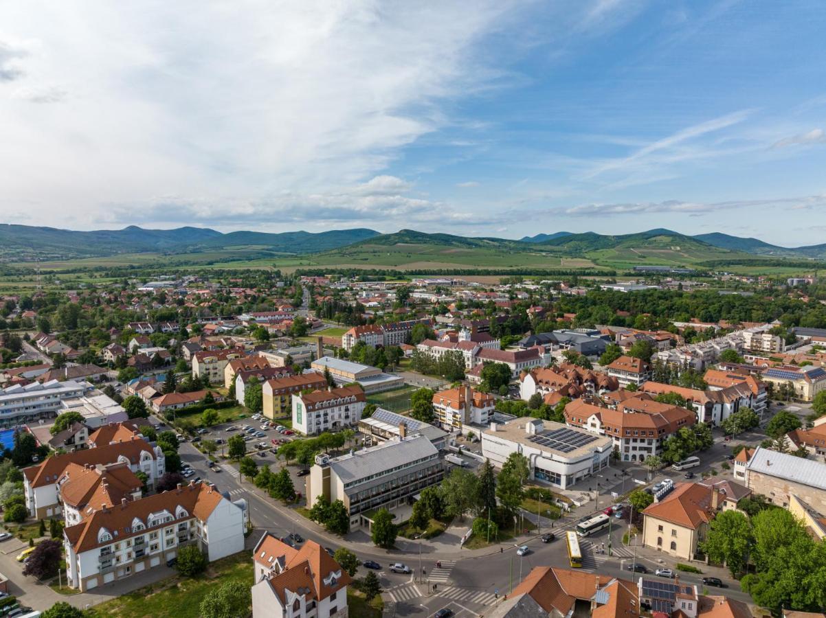 Hotel Bodrog Wellness & Elix Spa Sárospatak Zewnętrze zdjęcie